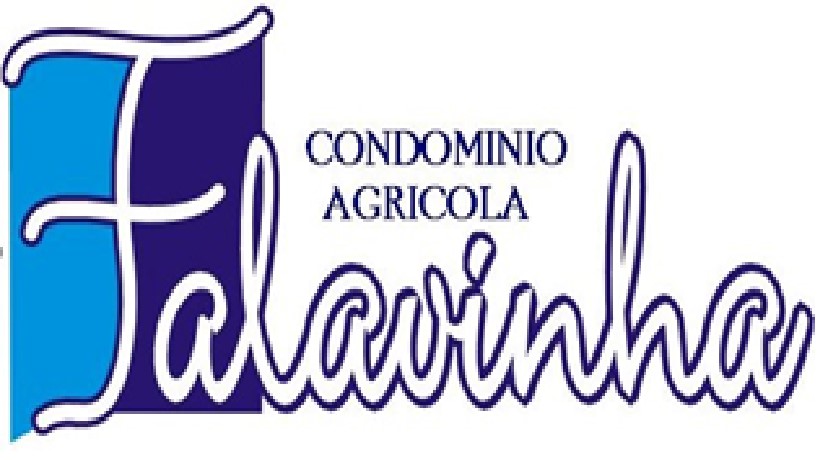 Grupo Falavinha